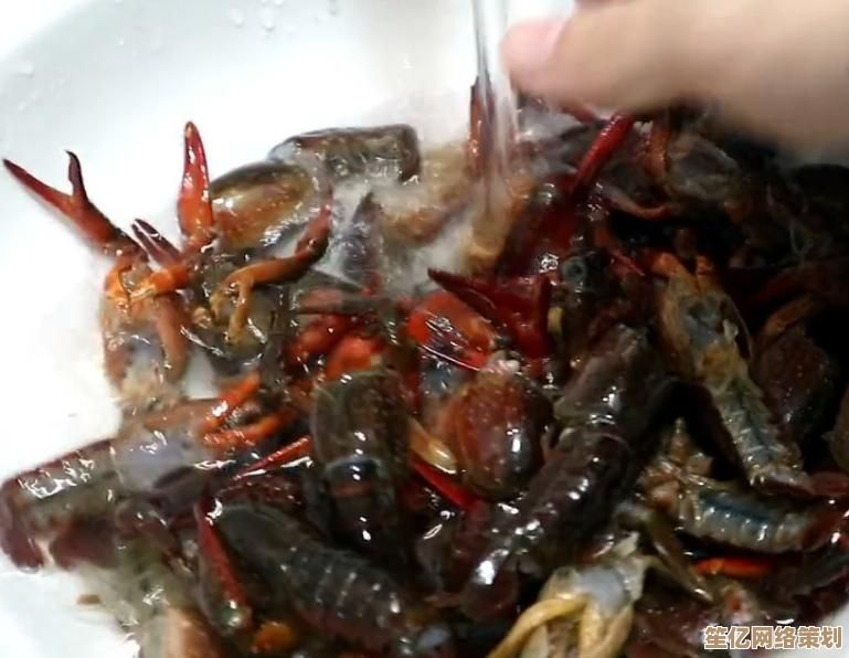 烹饪王国2025：融合未来科技与味蕾艺术的奇幻美食世界