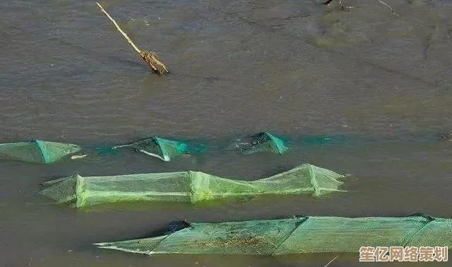 遇到电脑无法播放视频别着急，小鱼教您多种解决方法一网打尽