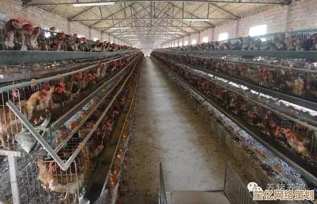 2025年必玩的养鸡主题游戏合集：轻松经营你的虚拟养鸡场