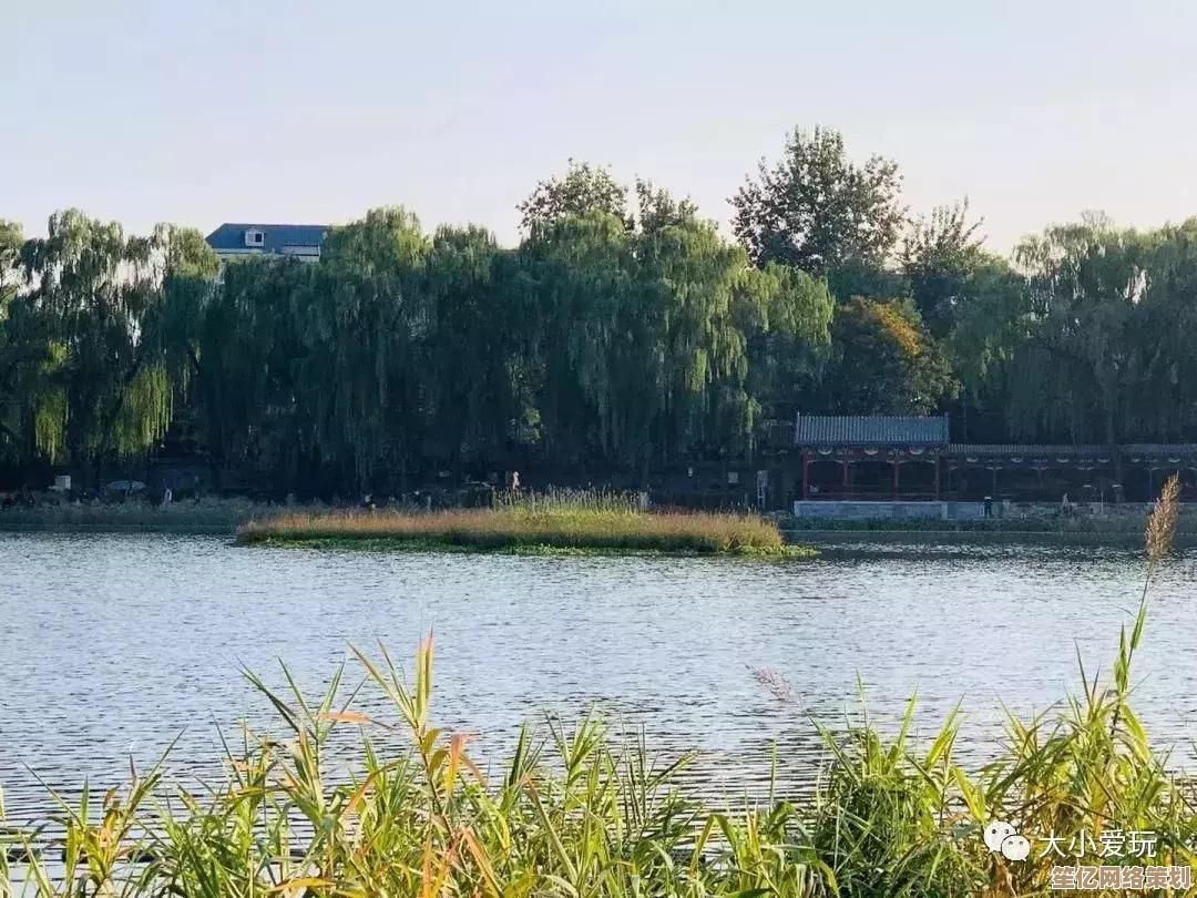 小鱼教您轻松打开电脑系统配置的详细步骤指南