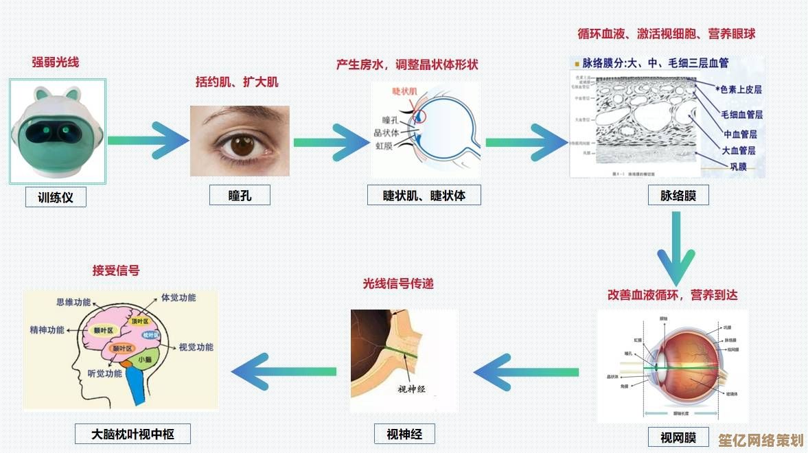 科学有效的眼部训练与保养策略助你放大双眼