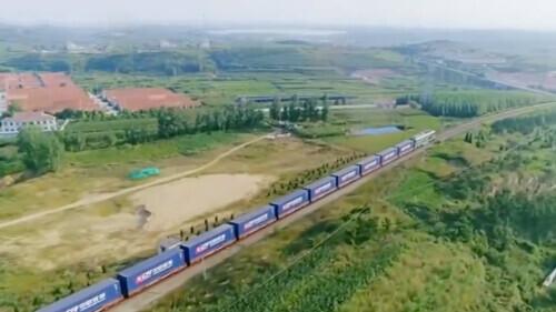 2025年植物大战僵尸终极模式全攻略：突破极限生存指南