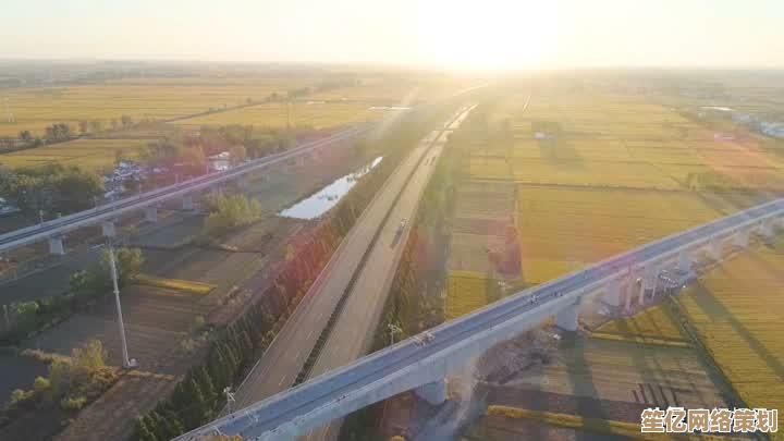 2025年筑梦餐厅官方下载通道正式开放，创意美食经营之旅由你主导