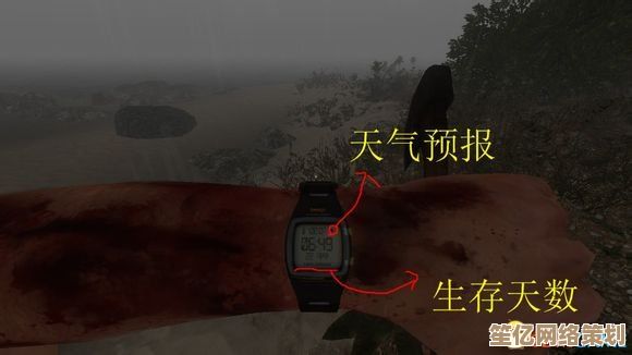 《荒岛求生记：孤岛探险家绝境逢生的惊险历程与生存智慧》