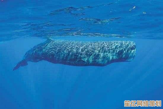 2025深海探秘：现世最大齿鲸物种的生态奇迹与未来展望