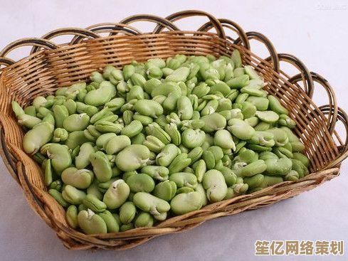 小鱼详细讲解电脑无法上网的自查步骤与实用修复技巧