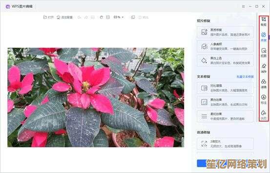 图片编辑入门指南：简单技巧助你轻松提升照片质量