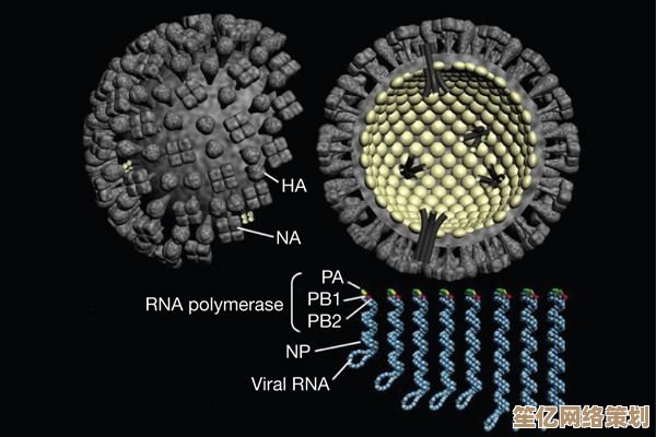 病毒是什么？从生物学角度解析其传播机制与人类健康关系