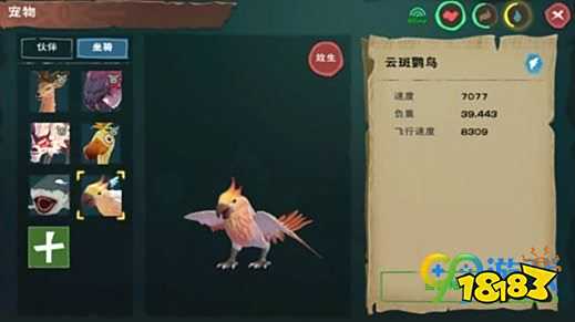 创造与魔法2025版本：云鸟时空裂隙坐标与进化形态揭秘