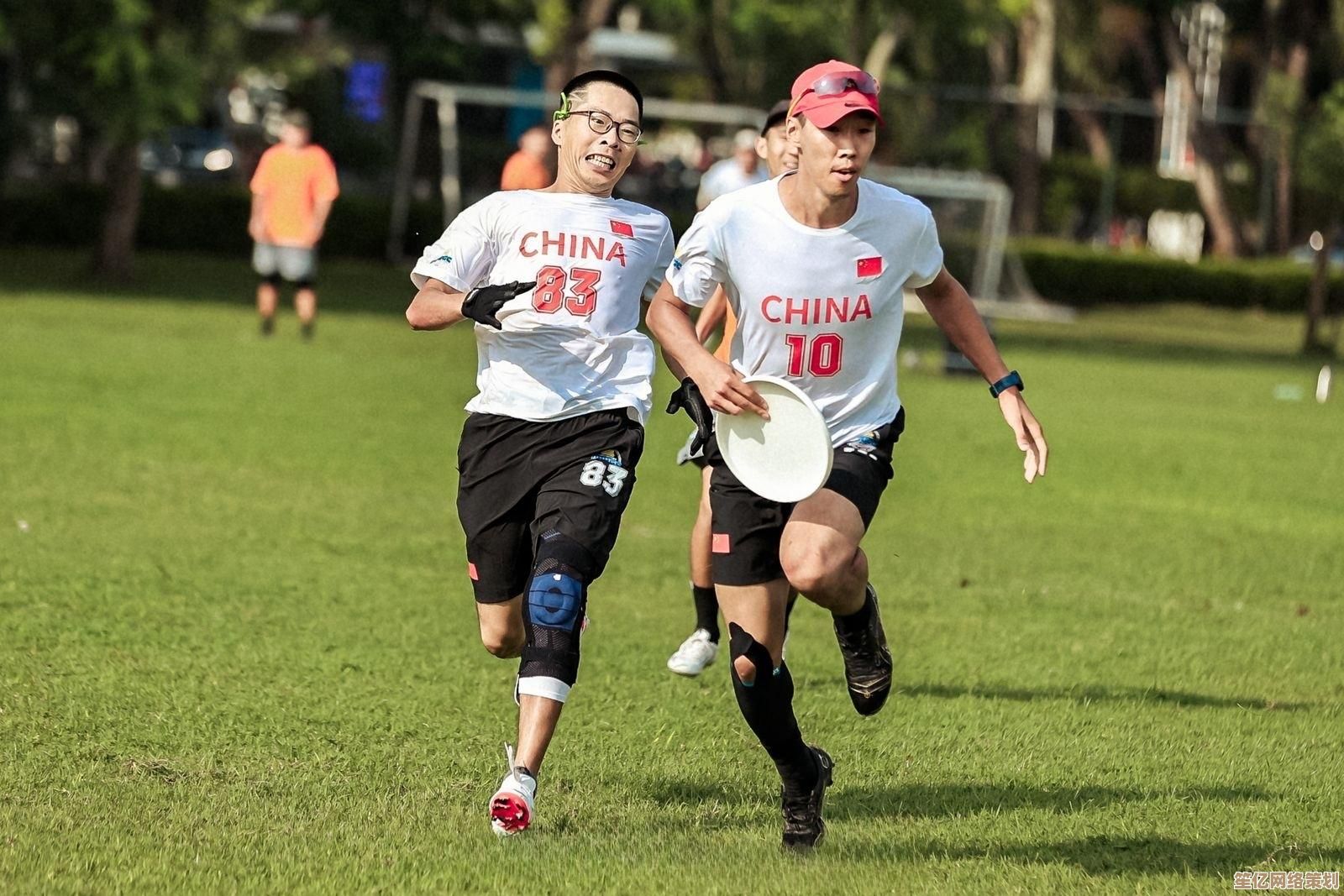 剑与远征2025零氪金养成秘籍，每日任务与活动奖励高效利用法则