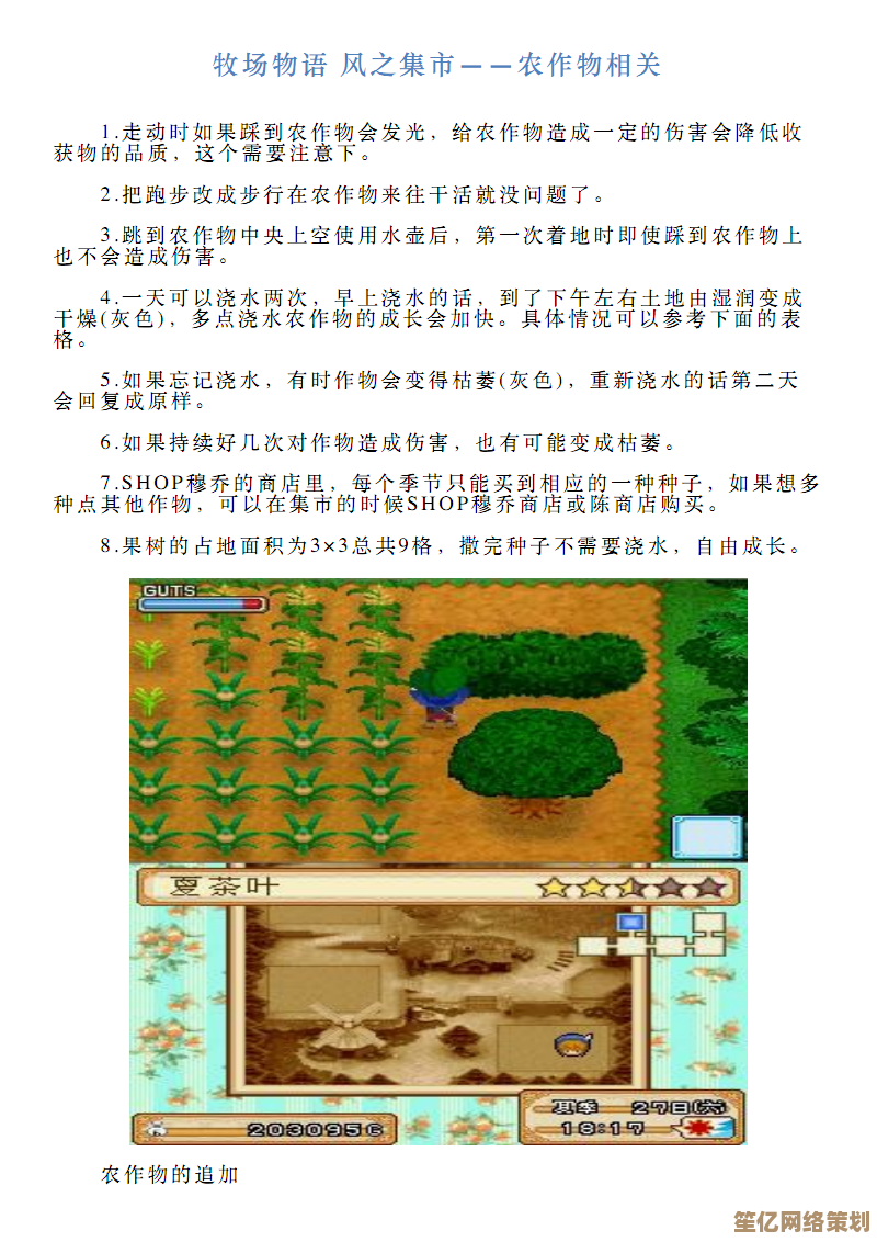 《牧场物语风之繁华集市》2025夏季作物全览：高价值品种与生长周期解析