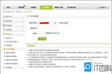 快速查询电信流量使用情况及剩余流量的详细步骤解析