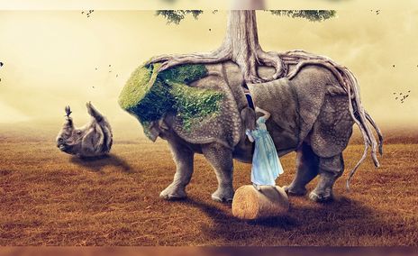 绿色版PS：赋能环保设计，实现创意与生态平衡的理想工具
