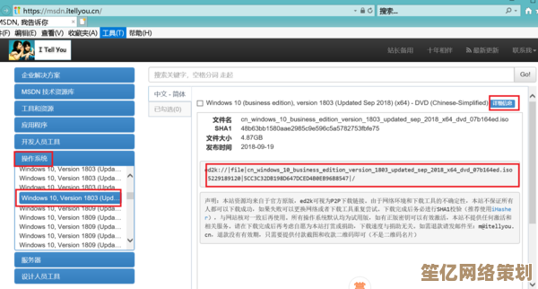 MSDN核心解析：如何利用微软开发者网络提升编程技能与项目效率