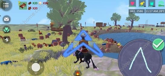 探索2025云鸟栖息地：创造与魔法飞行坐骑全地图解析
