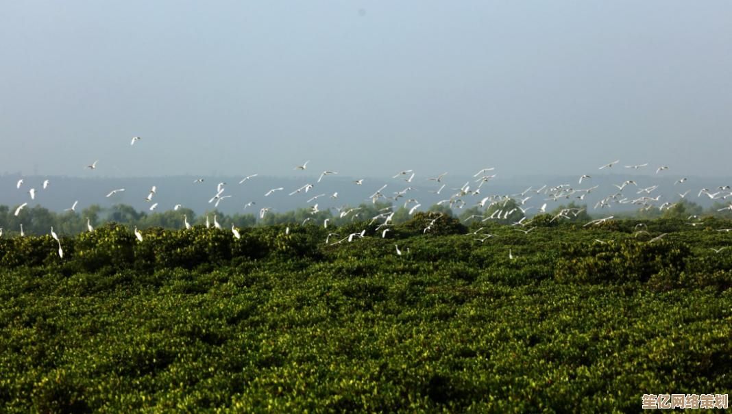 植物大战僵尸3下载全攻略：2025年移动端与PC端安装途径解析