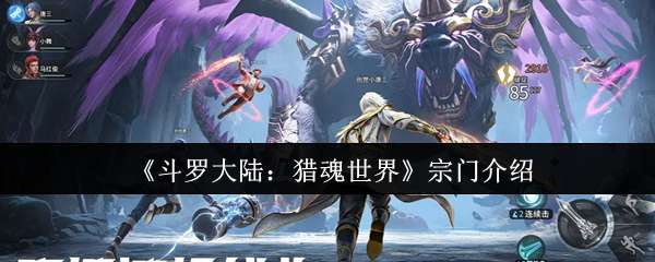 2025年斗罗大陆猎魂世界宗门职业攻略，魂环搭配与魂兽狩猎指南