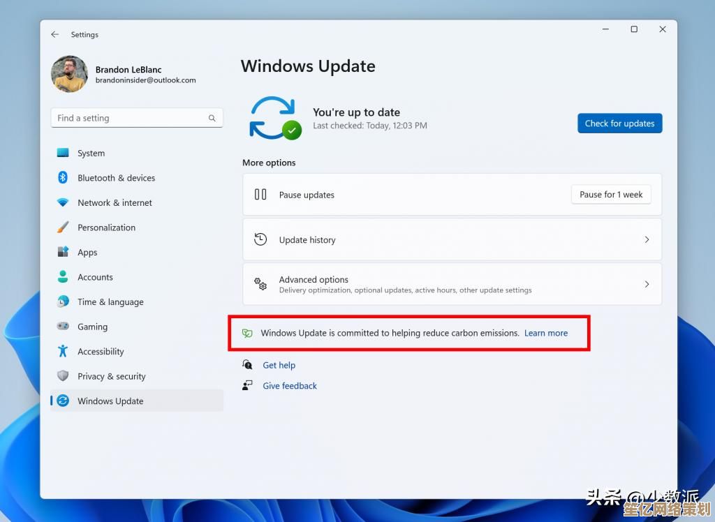 彻底关闭Windows 11自动更新的完整配置方案解析