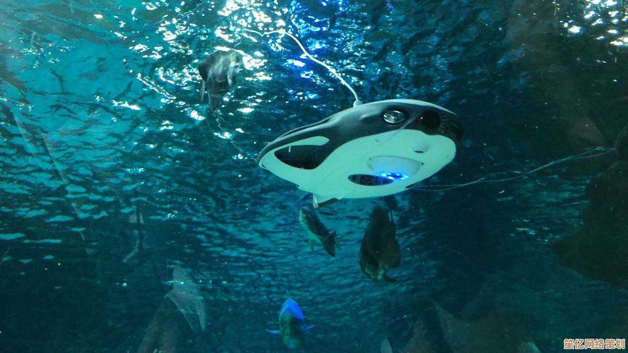 寻海之旅2025沉浸式钓鱼玩法揭秘，体验未来海洋生态垂钓新乐趣
