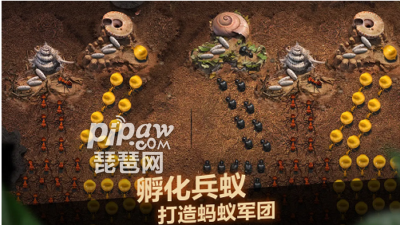 小小蚁国科技树全攻略2025：高效提升蚁群战力与巢穴防御技巧