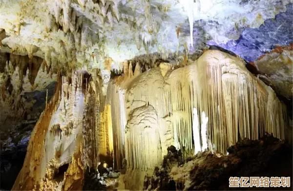 2025年独家揭秘！创造与魔法反引力结晶获取全流程详解
