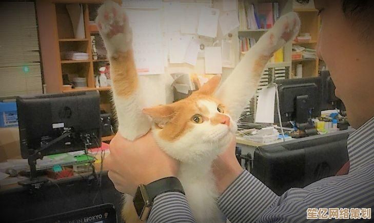 2025年人气逗猫模拟游戏盘点，趣味吸猫小游戏免费下载大全