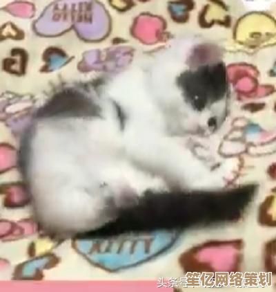 2025年人气逗猫模拟游戏盘点，趣味吸猫小游戏免费下载大全