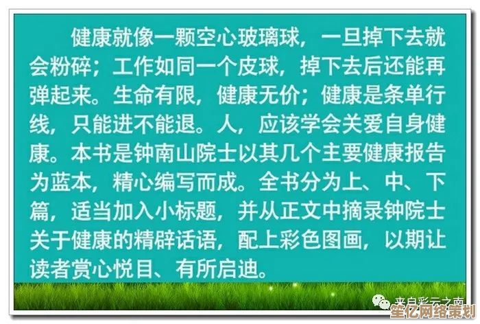 深入中医养生之道：雨木林风秘籍的全面解析与快速入门方法