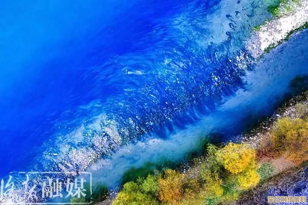 王者将魂2025阵容搭配秘籍公开，融合全新元素与战术轻松赢对决