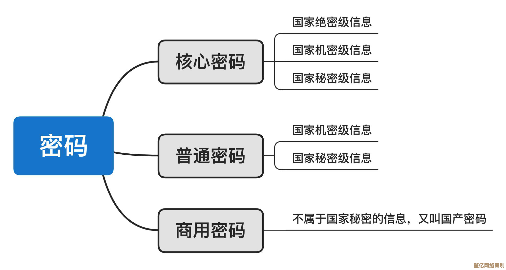 密码背后的深层含义与作用解析