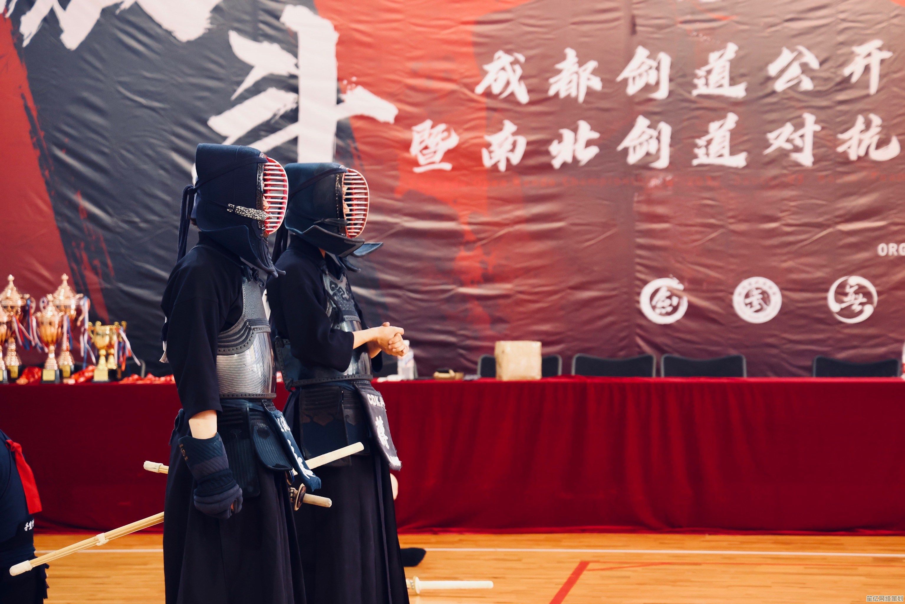 突破传统！剑之川荆成2025创新技能对决，开启剑术新纪元！