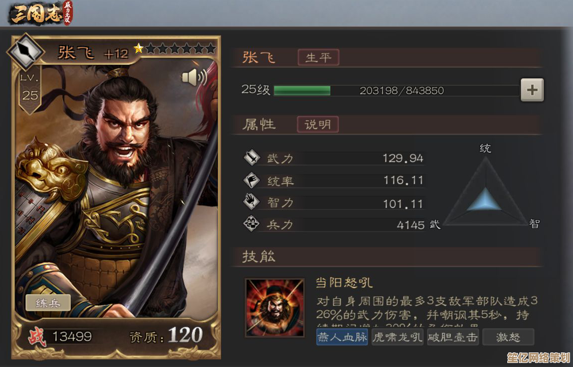 三国望神州2025许褚专武搭配与技能深度解析