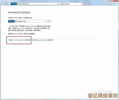 安全极速的IE浏览器下载推荐，保障您的上网隐私与数据安全
