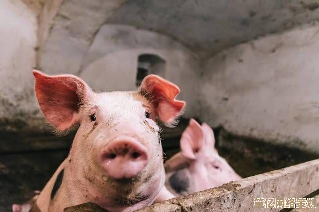 《巴尔的遗产》2025年全球价格对比，各地区版本及折扣信息汇总