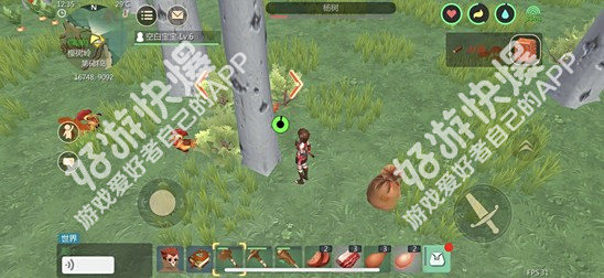 探索魔法新纪元：2025年创造与魔法棉花高产区域全攻略