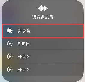 如何利用苹果手机进行通话录音：实用指南助您高效记录