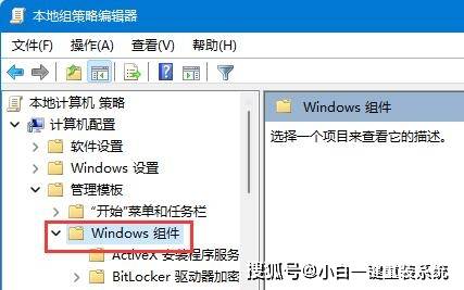 轻松掌握Windows 11自动更新关闭方法与实用技巧