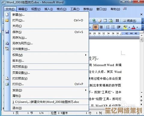 解锁DPS文件格式的详细操作指南与技巧