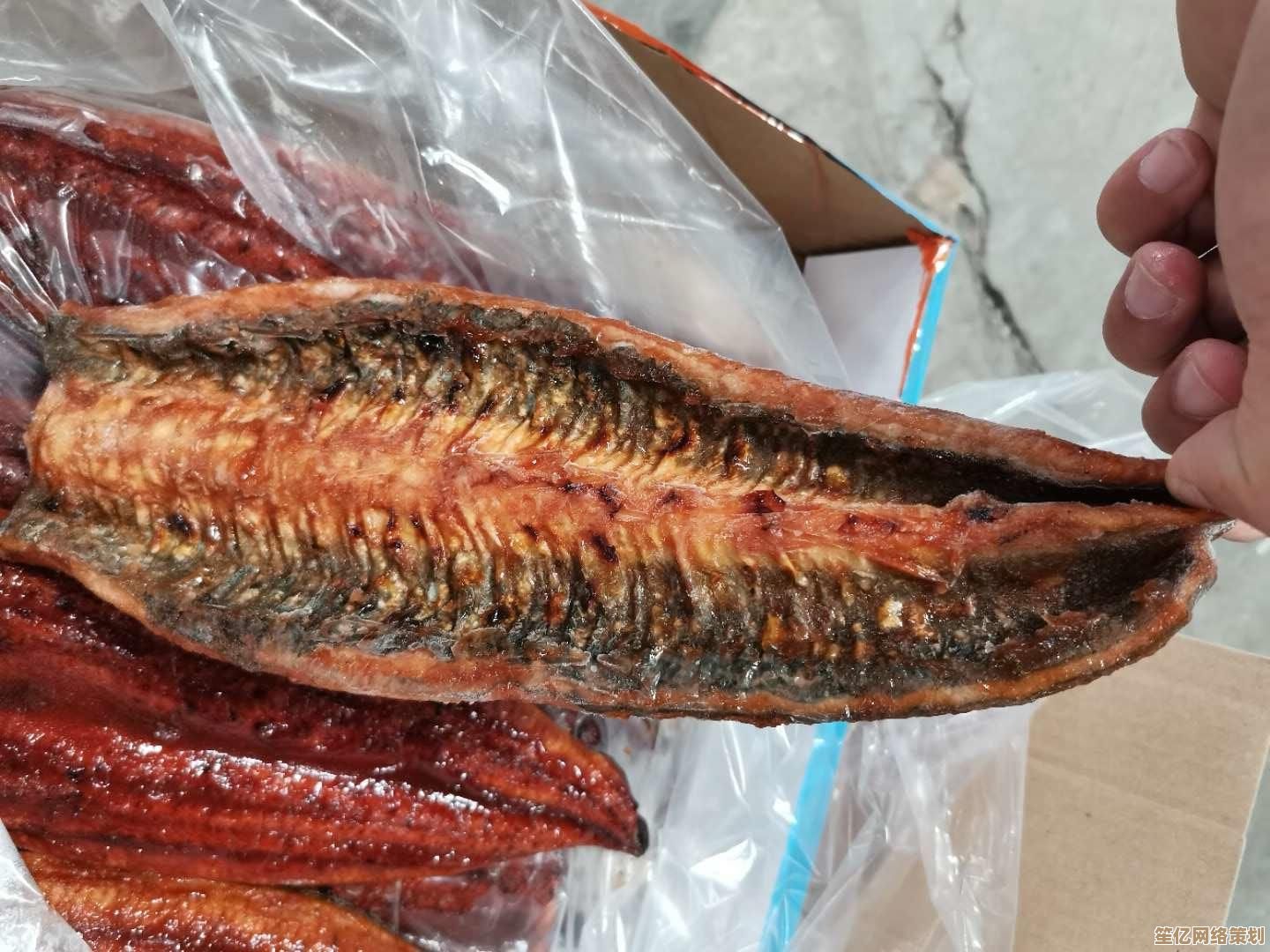 未来食材全息解析：创造与魔法限定版魔法鳗鱼饭烹饪手册
