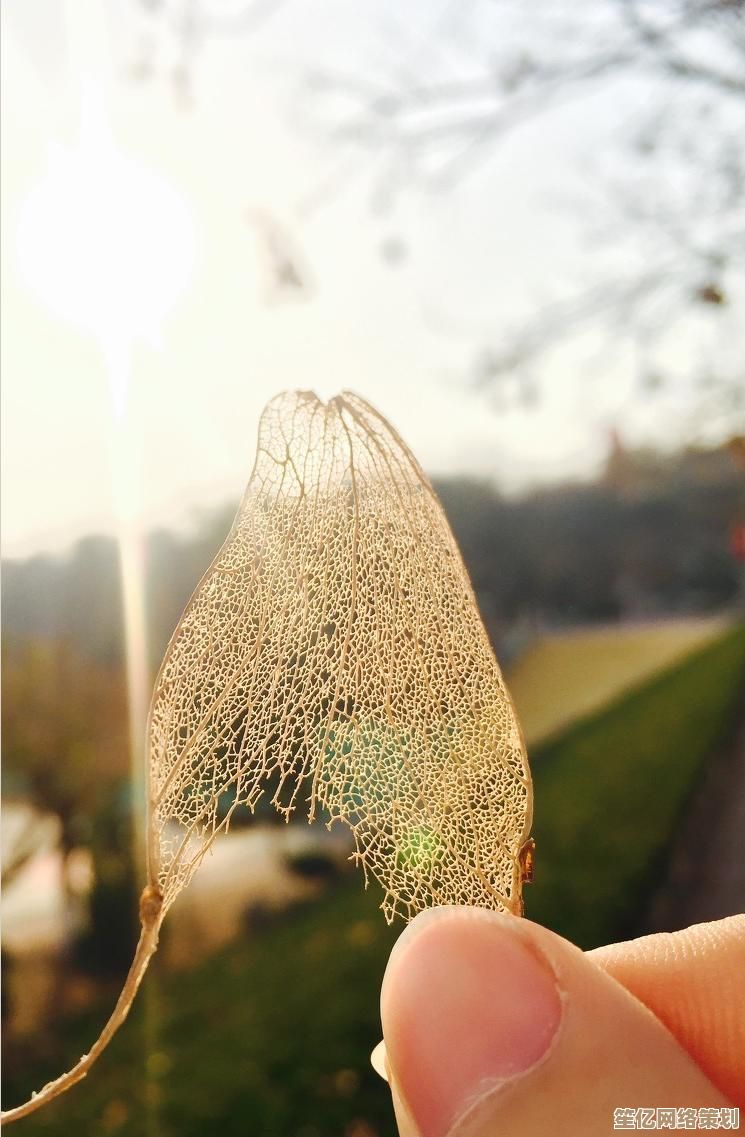 朋友圈视频发布指南：巧妙记录与分享生活点滴的实用技巧