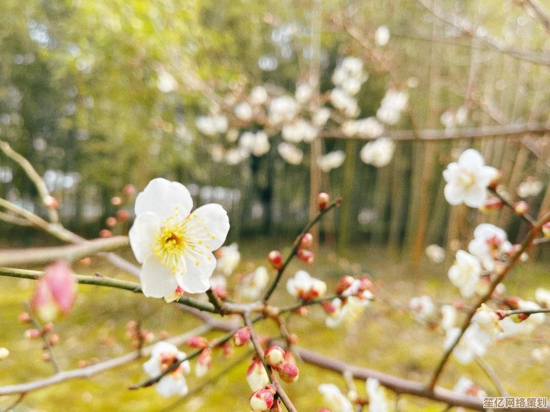 焕新你的视觉体验：30张精美笔记本电脑壁纸精选推荐