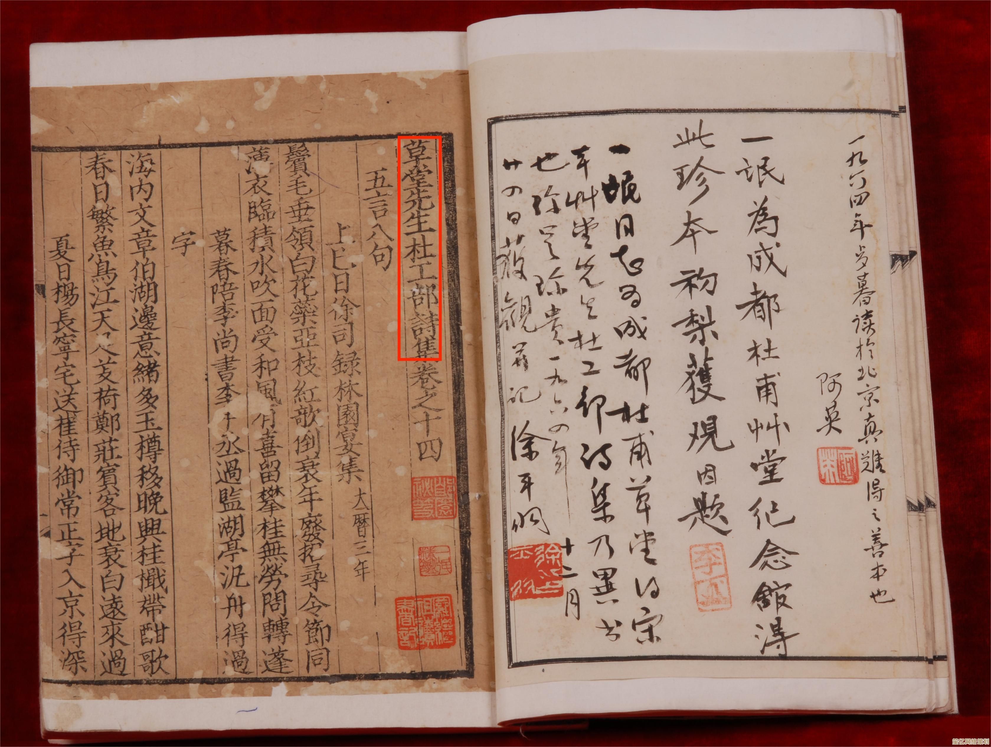 杜甫诗战阵容2025高阶攻略，忘川使者技能组合与实战指南