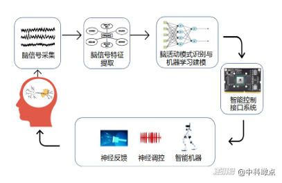 量子计算与脑机接口如何影响2025年版三体游戏汪淼的命运走向？