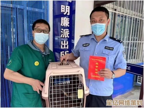 苹果手机上网设置全攻略，小鱼详细教学一学就会
