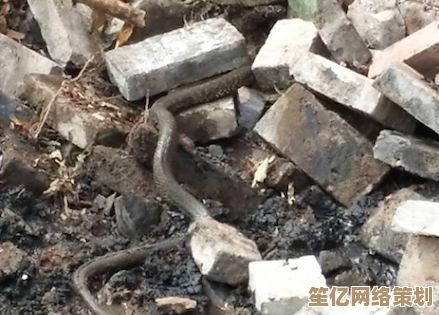 探索创造与魔法2025年度版本血蜥蜴栖息地与战斗技巧