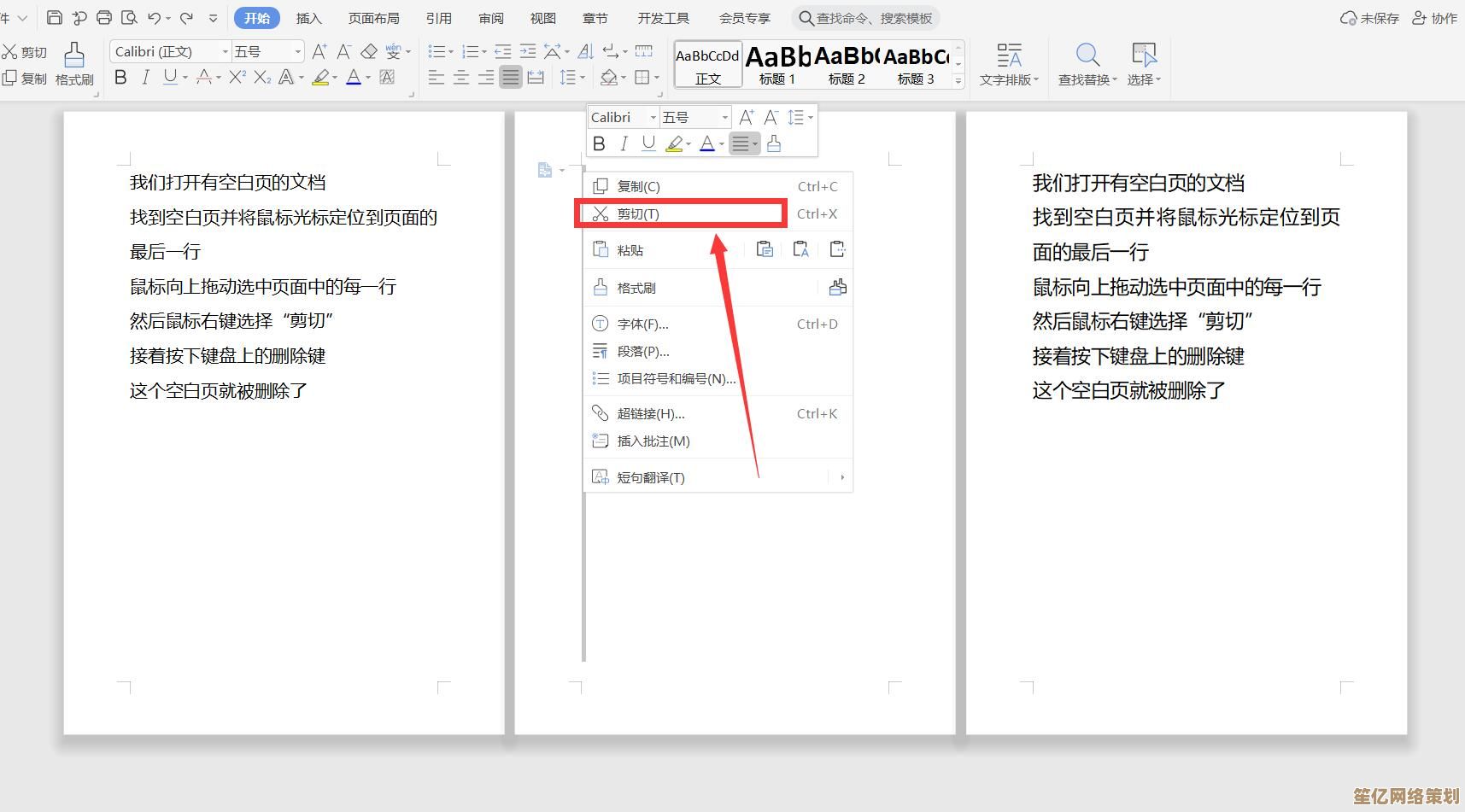 Word文档空白页删除步骤详解与实用技巧