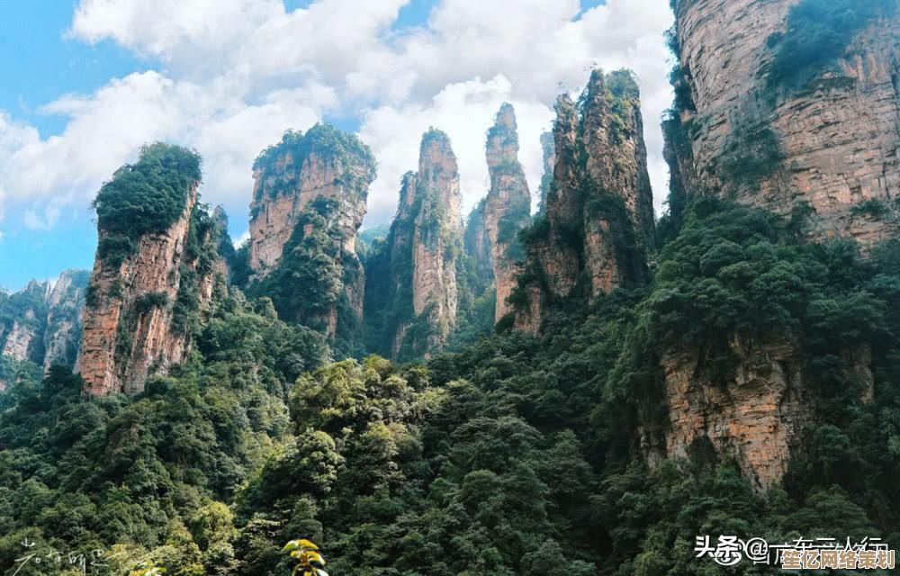单反天梯图：摄影技巧进阶指南，助你一步步登顶影像创作高峰！
