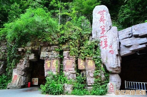 40系显卡与30系全面性能对比：天梯图助你轻松选购