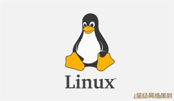 快速获取官方正版Linux系统，免费下载最新稳定版本