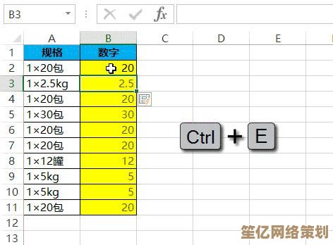 [填充快捷键]运用指南：掌握高效工作流程的关键秘诀